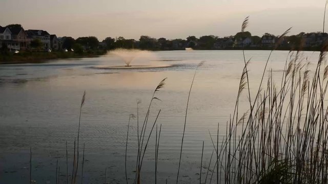 Pond timelapse during the summer in nature