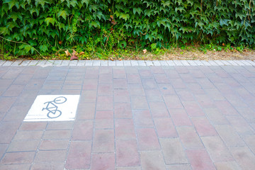 Obraz premium Bike lane separated from traffic with signal.