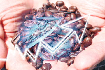 Coffee Industry Profits High Quality 