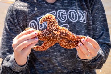 girl holding starfish 