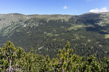 Naklejka premium Landscape near The Stinky Lake, Rila mountain, Bulgaria