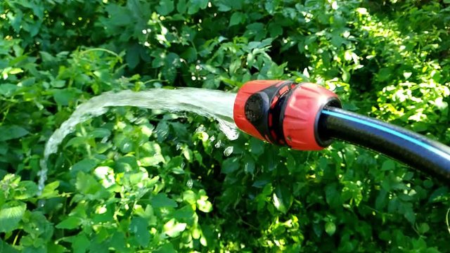 Watering garden slow motion close up
