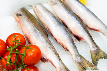 Chilled fish. Professional cutting of fish. Fish carcasses lying on the ice. Fish on display. Seafood shop. Sale of seafood.