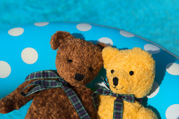 Two toy bears floating in swimming pool