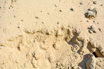 Pile of yellow sand texture. Construction Supplies. Sand pile with small stones