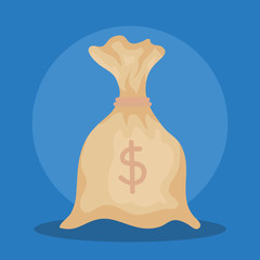 bag money with cash currency report