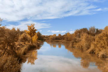 Tajo river in Spain with yellow leaf trees on the shore. Autumn landscape
