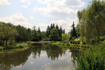 Fototapeta na wymiar Summer garden landscape with pond