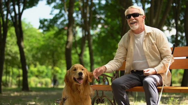 Positive blind man feeding guide dog, sitting in park, nutritious canine food