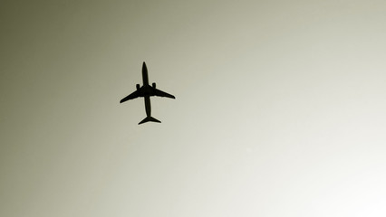 Airplane in the sky