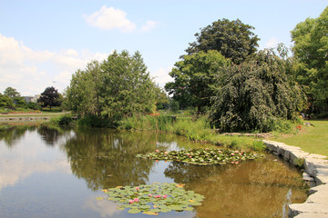Summer garden landscape with pond
