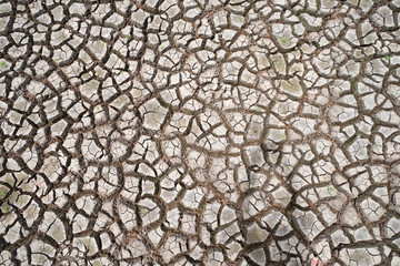 Land with dry and cracked ground because dryness global warming,Global warming background