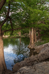 Obraz na płótnie Canvas Cypress trees at McKinney Falls State Park, Austin, Texas 