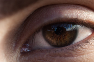 eye