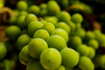 Uvas