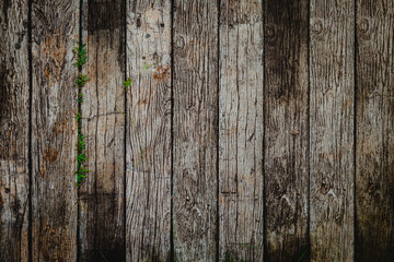Old vintage wooden flat texture