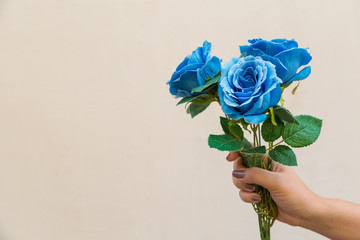 Hand holding blue fabric roses