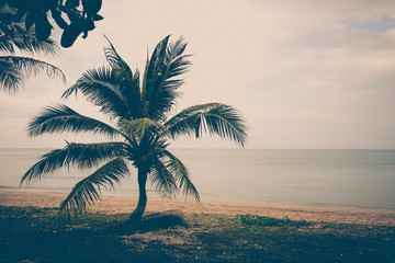 Fototapeta na wymiar Vintage tone of Coconut palms on the beach and sky