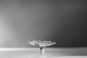 Obraz na płótnie Canvas Mushroom waterdrop