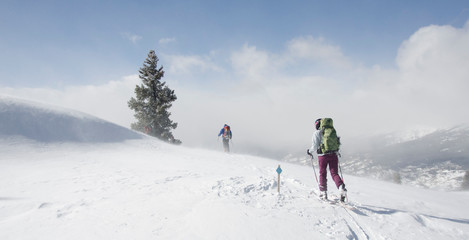 Fototapeta na wymiar Skiers traversing wind blown terrain