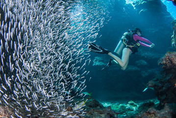 A scuba diver explores a cavern that is heavily populated with small fish called silversides. The shot was taken at Eden Rock dive site in Grand Cayman in the Caribbean.