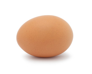 egg chicken isolated on white background.