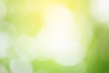 Obraz premium Abstract nature background. Green bokeh nature. Green bokeh out of focus background from nature forest.