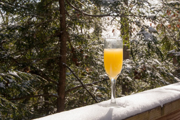 Champagne Glass of Mimosa on a snowy background in Red River Gorge