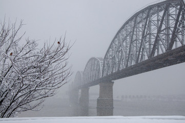 bridge over the river in Indiana with trees