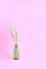 bouquet of dry wild plants on a pink background. vase in the form of a green transparent bottle. vertical frame