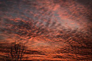 atardecer 3