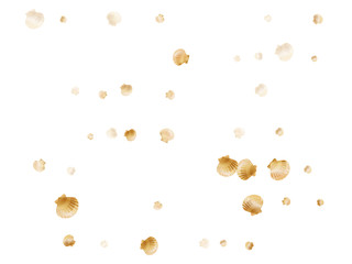Gold seashells vector, golden pearl bivalved mollusks. 