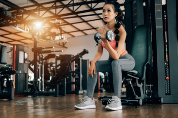 sport woman at fitness gym club doing exercise for arms with dumbbells and showing muscle bodybuilding, fitness concept, sport concept