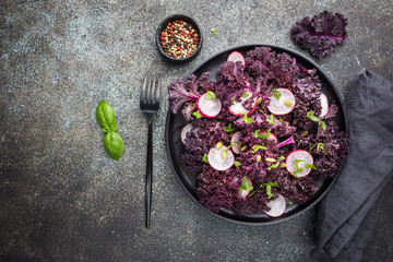 Salad of fresh red kale and radish over dark background