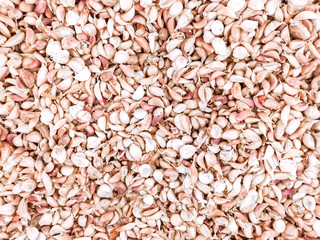 Garlic peeled background and texture.