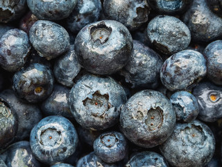 a lot of ripe wet blueberries closeup - background
