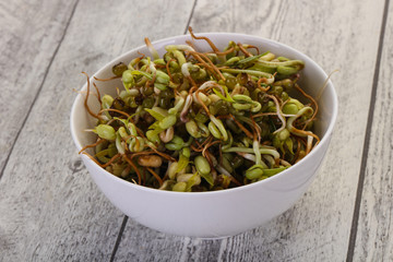 Mash bean sprout