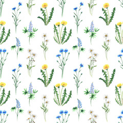 Watercolor digital paper pattern daisy dandelion lupine cornflower flowers seamless illustration set of summer botanical decorations greeting card design