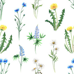 Watercolor digital paper pattern daisy dandelion lupine cornflower flowers seamless illustration set of summer botanical decorations greeting card design