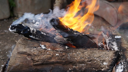 The fire burns, the fire of nature, fire,горит костер
