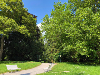 Spring Avenue or Frühlingsstrasse (Fruhlingsstrasse oder Fruehlingsstrasse), (Flower Island Mainau...