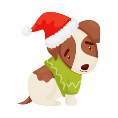 Cute puppy with a green sweater. Vector illustration on white background.