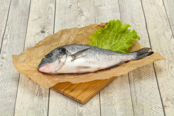 Raw Dorada fish  for cooking