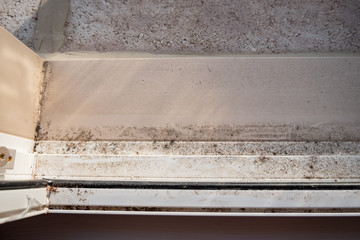 A dirty, moldy window ledge before being cleaned.