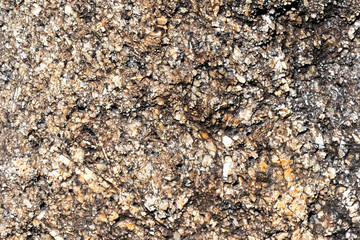 Texture of rocks on the seashore close-up. Natural stone background