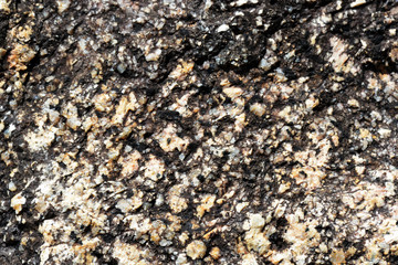 Texture of rocks on the seashore close-up. Natural stone background