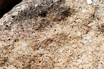 Texture of rocks on the seashore close-up. Natural stone background