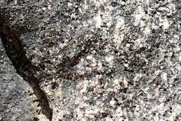 Texture of rocks on the seashore close-up. Natural stone background