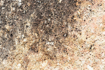 Texture of rocks on the seashore close-up. Natural stone background