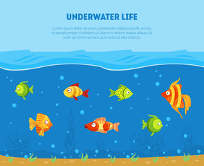 Underwater Life Banner Template with Space for Text and Colorful Tropical Fishes Vector Illustration